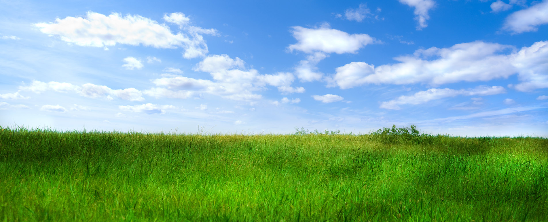 Banner - Gunther Schülzle